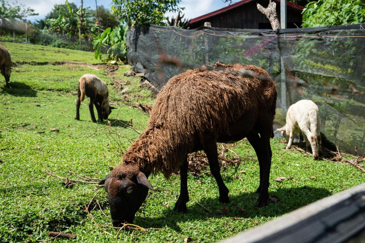 Hotel & Spa Escondite De La Montana Sabana Redonda ภายนอก รูปภาพ